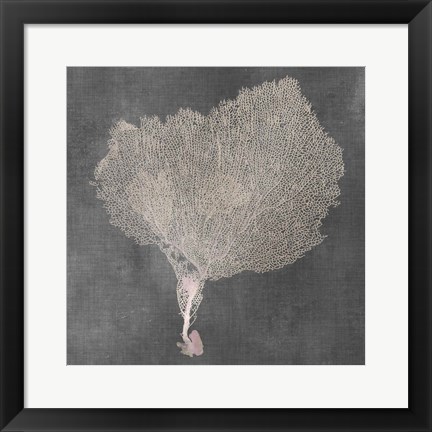 Framed Natural Sea Fan VIII Print