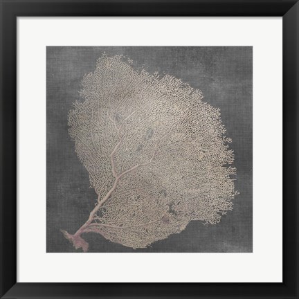 Framed Natural Sea Fan IX Print