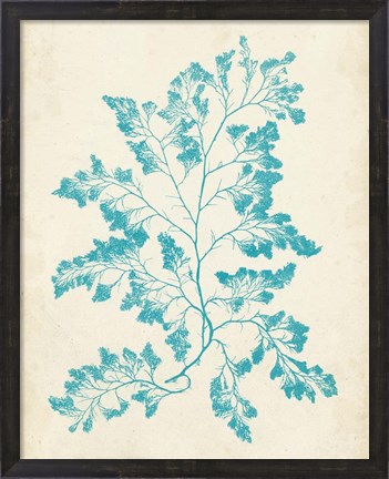 Framed Aquamarine Seaweed I Print