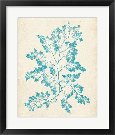 Framed Aquamarine Seaweed I Print