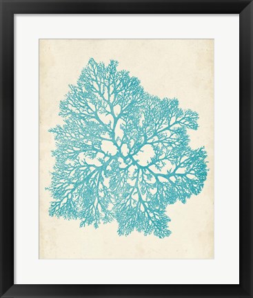 Framed Aquamarine Seaweed V Print