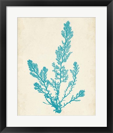 Framed Aquamarine Seaweed VI Print