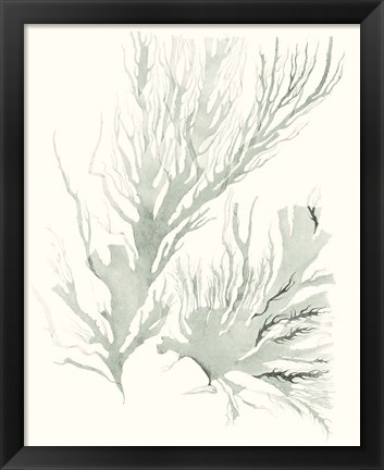 Framed Sage Green Seaweed IV Print