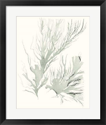 Framed Sage Green Seaweed IV Print