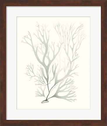 Framed Sage Green Seaweed V Print