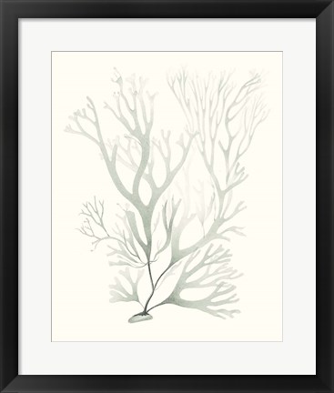 Framed Sage Green Seaweed V Print