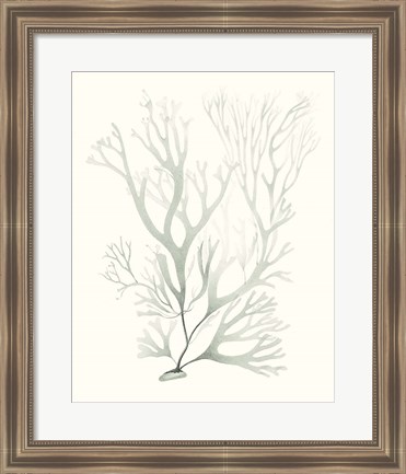 Framed Sage Green Seaweed V Print