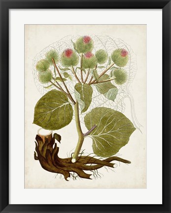 Framed Vintage Charm III Print