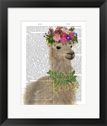 Framed Llama Bohemian 2 Book Print Print