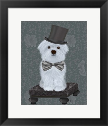 Framed Maltese with Top Hat Print