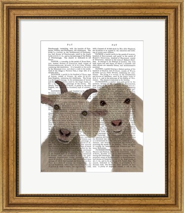 Framed Goat Duo, Looking at You Book Print Print