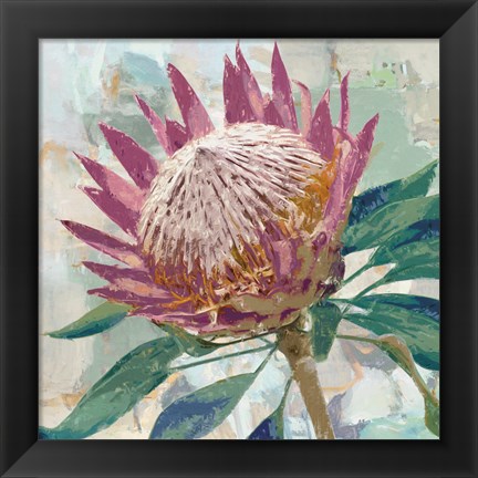 Framed Protea King Print