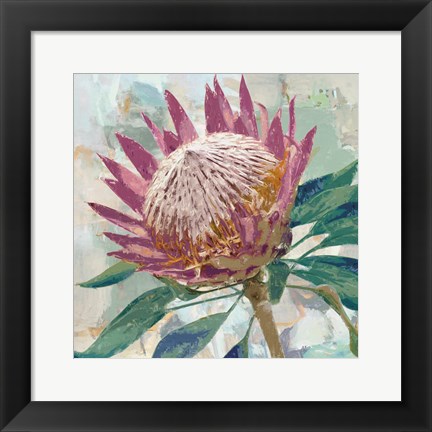 Framed Protea King Print