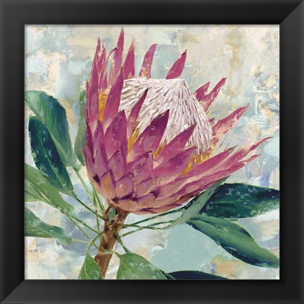 Framed Protea Majestic Print