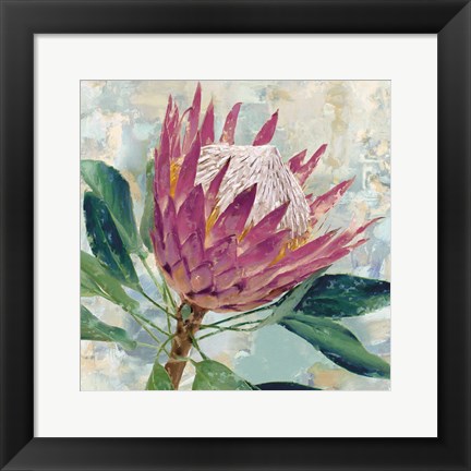 Framed Protea Majestic Print