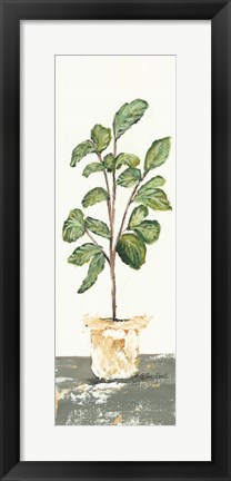 Framed Fig Tree Print