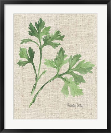 Framed Italian Parsley v2 on Burlap Print