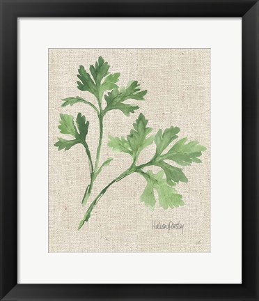 Framed Italian Parsley v2 on Burlap Print