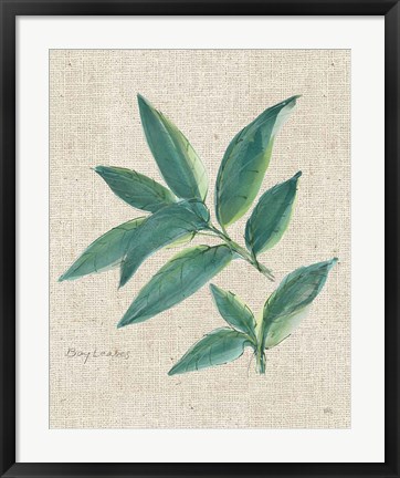 Framed Bay Leaf on Burlap Print