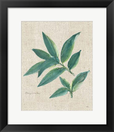 Framed Bay Leaf on Burlap Print