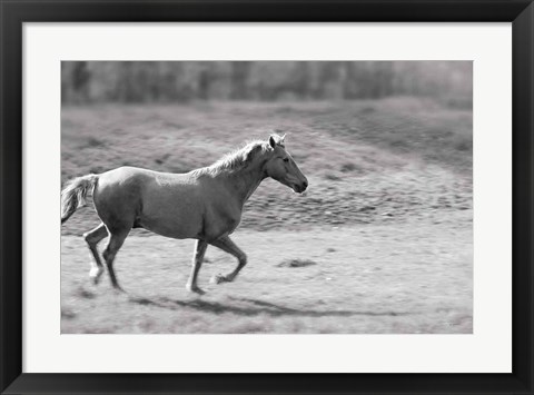 Framed Pasture Run Print