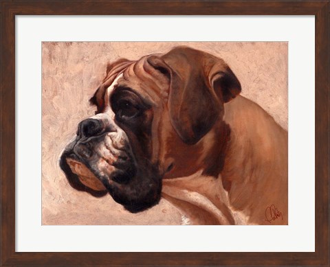 Framed Boxer Print