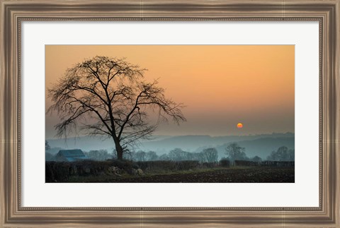 Framed Morning Sun Print