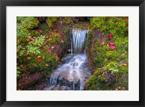 Framed Tranquility Falls Print