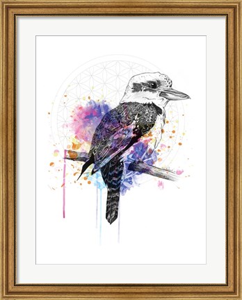 Framed Kookaburra Print