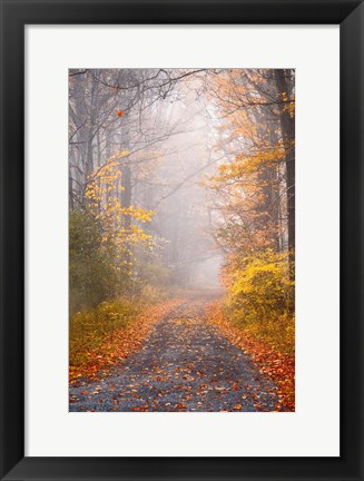 Framed Road and Autumn Mist Print