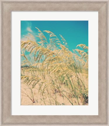 Framed Sea Oats Print