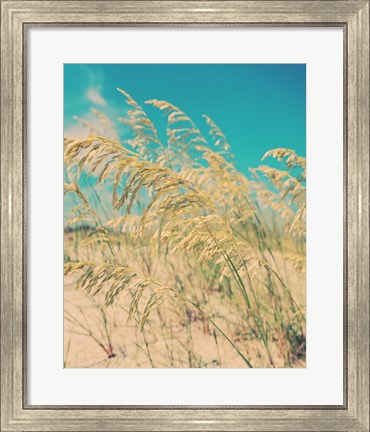 Framed Sea Oats Print