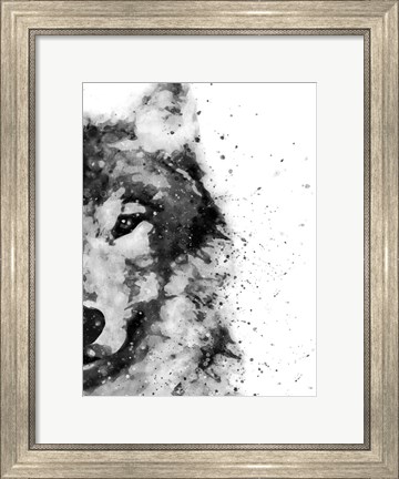 Framed Wolf At Attention Print