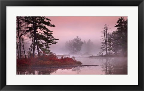 Framed Pink Fog Print