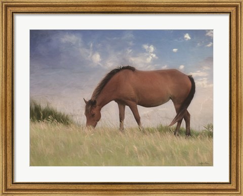 Framed Assataegue Horse Print