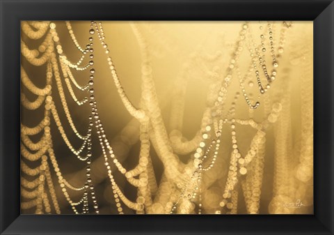 Framed Nature&#39;s Jewels II Print