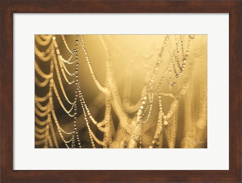 Framed Nature&#39;s Jewels II Print