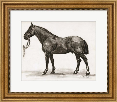 Framed Horse Study 4 Print
