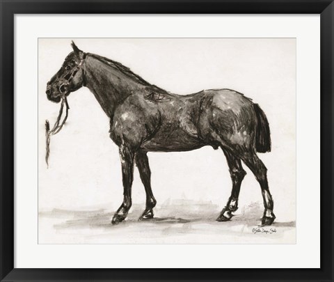 Framed Horse Study 4 Print