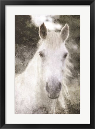 Framed White Horse Mystique Print