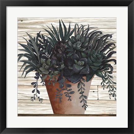 Framed Remarkable Succulents I Print