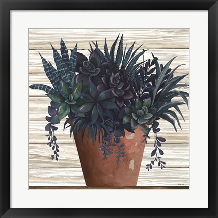 Framed Remarkable Succulents II Print