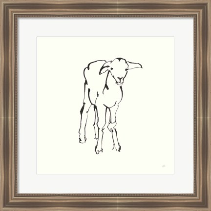 Framed Line Lamb Print