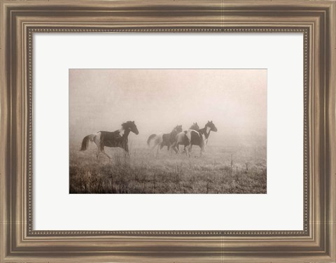 Framed Paint Horses on the Run Print