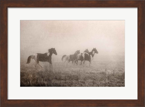 Framed Paint Horses on the Run Print