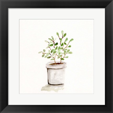 Framed Potted Botanicals I Print