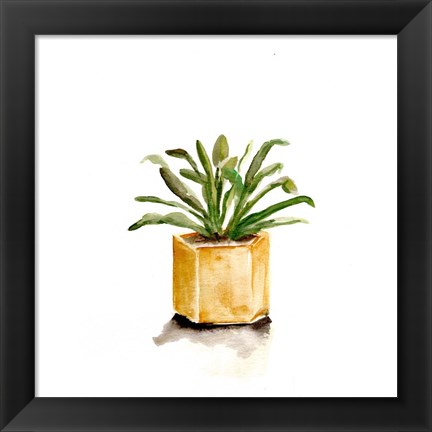 Framed Potted Botanicals II Print