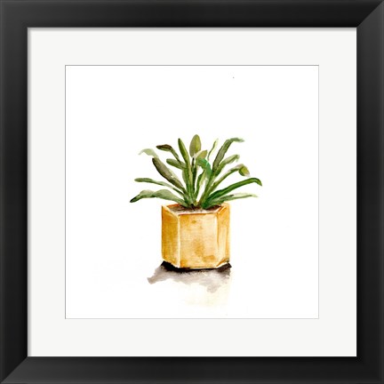 Framed Potted Botanicals II Print