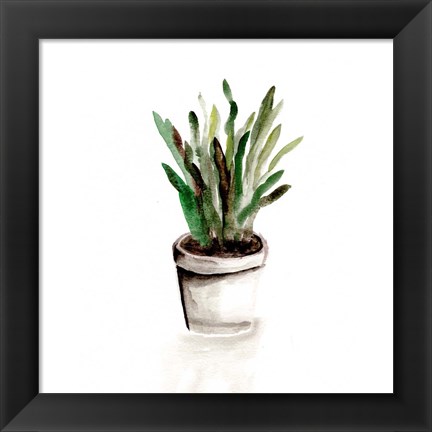 Framed Potted Botanicals III Print