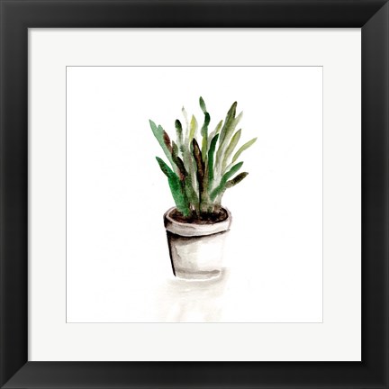 Framed Potted Botanicals III Print